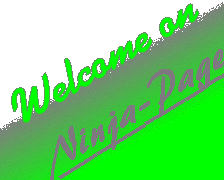 Welcome on Ninja-Page